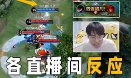 王者胖子爆料视频下载,揭秘游戏幕后秘密与精彩瞬间